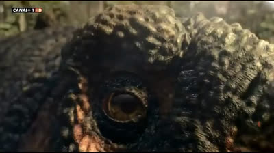 Pequeño documental del Spinosaurus.