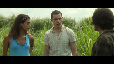 Dans les hautes herbes (2019)